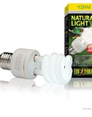 Exo Terra Exo Terra Natural Light Daylight Bulb