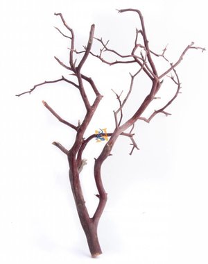 Aqua Globe Aquaglobe Manzanita Branch