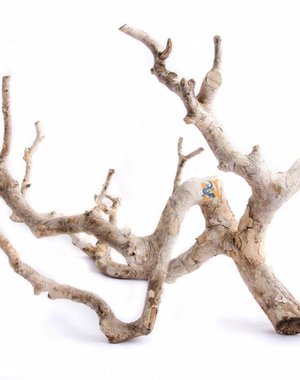 Aqua Globe Aquaglobe Nainital Wood