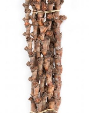 Newcal Pet NewCal Buriti Sticks 16"