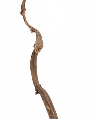 Newcal Pet NewCal Dried Banana Stick 30"