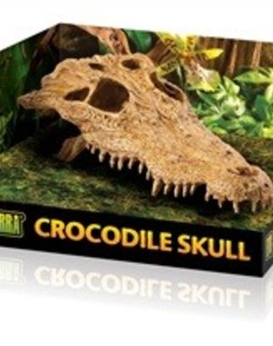 Exo Terra Exo Terra Crocodile Skull
