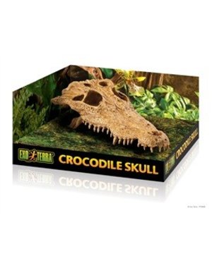 Exo Terra Exo Terra Crocodile Skull