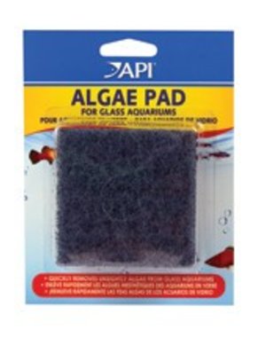 API Products API Algae Pad for Glass Aquariums