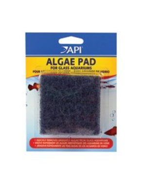 API Products API Algae Pad for Glass Aquariums