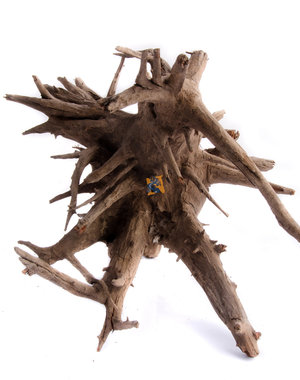 Aqua Globe Aquaglobe Jangle Wood