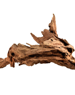 Aqua Globe Aquaglobe Malaysian Driftwood