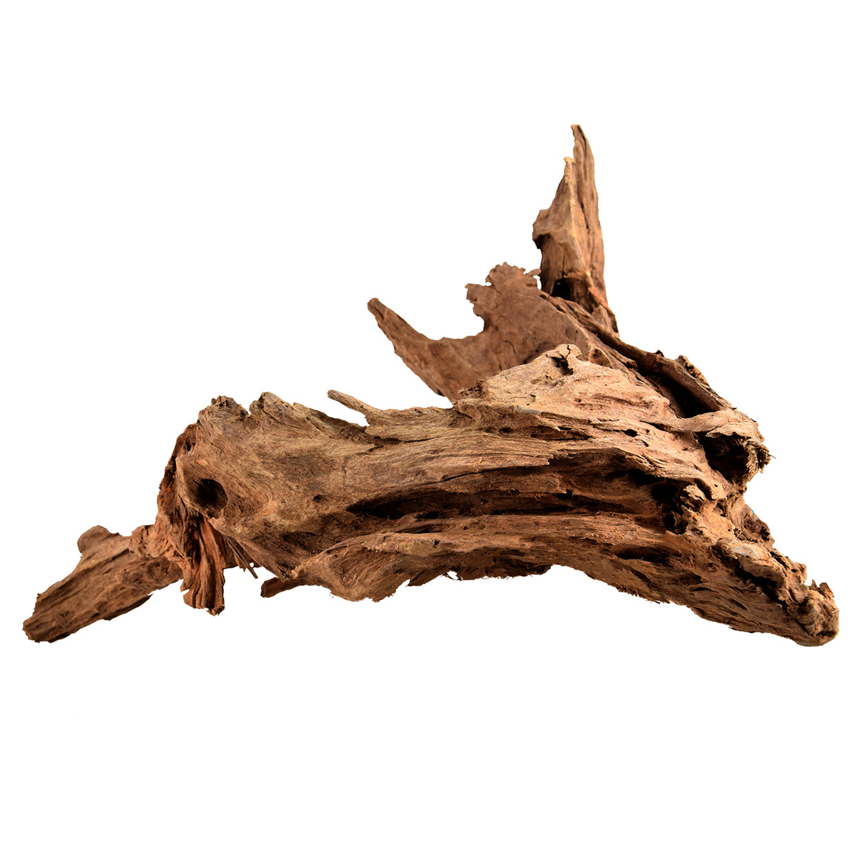 Aquaglobe Malaysian Driftwood - Pet Paradise