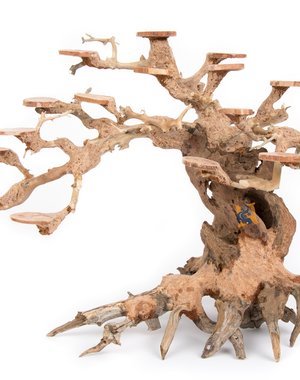 Aqua Globe Aquaglobe Rainforest Wood Showpiece