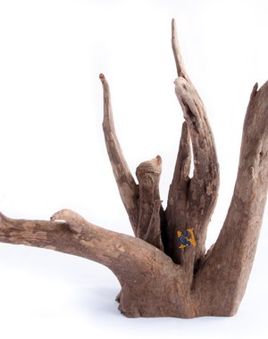 Aqua Globe Aquaglobe Sabawood