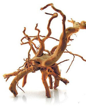 Aqua Globe Aquaglobe Spider Wood