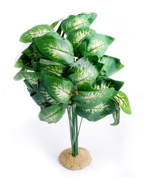 Aqua Globe Aquaglobe Japonica  15"