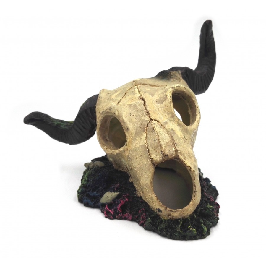 Burgham Aqua-Fit Aqua-Fit Longhorn Skull 10x4.75x5.25"