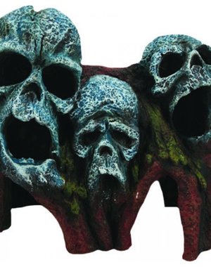 Burgham Aqua-Fit Aqua-Fit Tree Root Skulls 7x4x6"