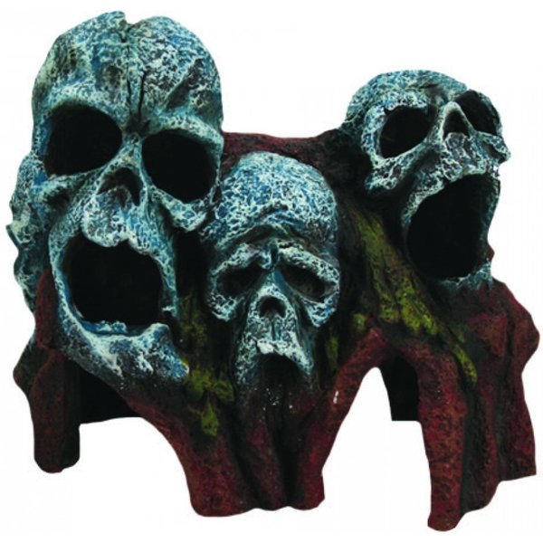 Burgham Aqua-Fit Aqua-Fit Tree Root Skulls 7x4x6"