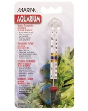 Marina Marina Large Floating Thermometer with Suction Cup - Centigrade - Fahrenheit