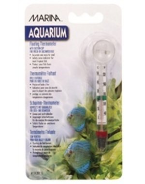 Marina Marina Floating Thermometer with Suction Cup - Celsius and Fahrenheit