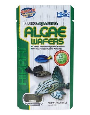 Hikari Hikari Algae Wafers