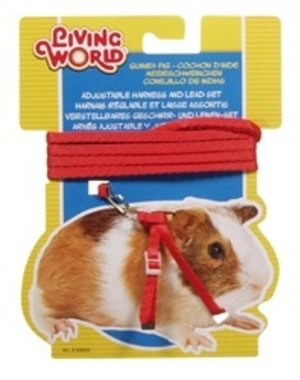 Living World Living World Figure 8 Harness and Lead Set For Guinea Pigs