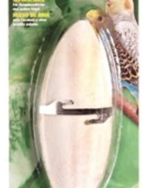 Living World Living World Cuttlebone with Holder - Medium