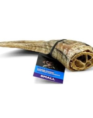 Icelandic+ Icelandic+ Lamb Horn