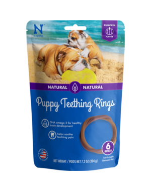 NPIC NPIC N-Bone Puppy Teething Ring Pumpkin Flavor