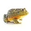 Pixie Frog