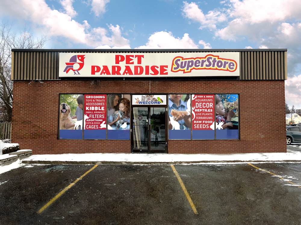 pet paradise store image