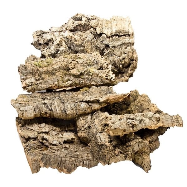 Bulk Cork Bark Flats $11.99/lb