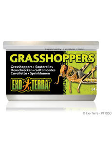 Exo Terra Exo Terra Canned Grasshoppers 1.2 oz