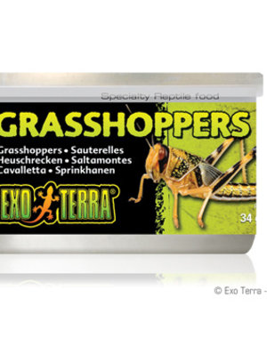 Exo Terra Exo Terra Canned Grasshoppers 1.2 oz