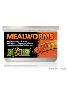 Exo Terra Exo Terra Canned Mealworms 1.2 oz