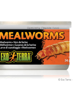 Exo Terra Exo Terra Canned Mealworms 1.2 oz
