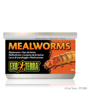 Exo Terra Exo Terra Canned Mealworms 1.2 oz