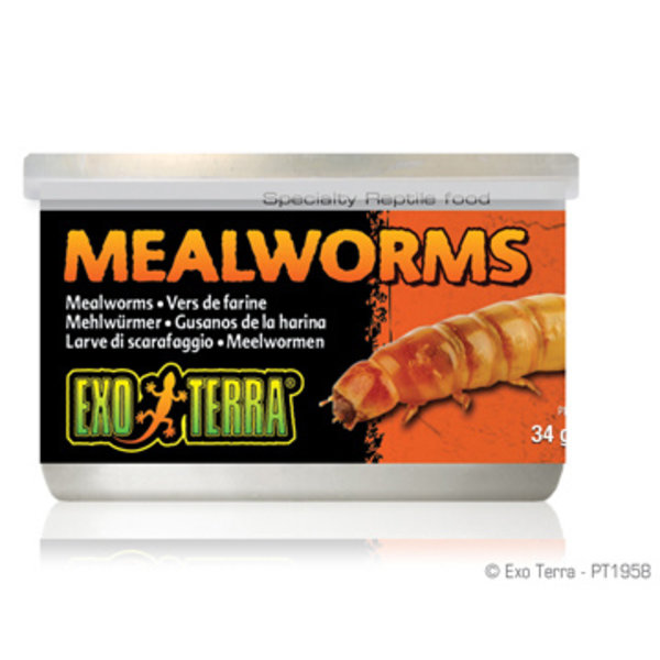Exo Terra Exo Terra Canned Mealworms 1.2 oz