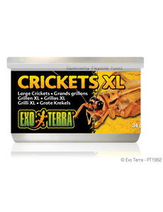 Exo Terra Exo Terra Canned Crickets XL 1.2 oz