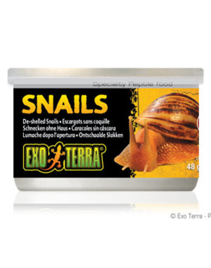 Exo Terra Exo Terra Canned Snails 1.7 oz