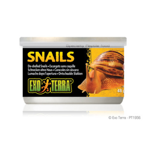 Exo Terra Exo Terra Canned Snails 1.7 oz