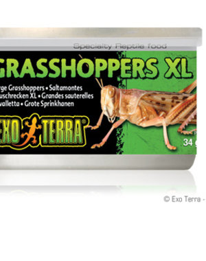 Exo Terra Exo Terra Canned Grasshoppers XL