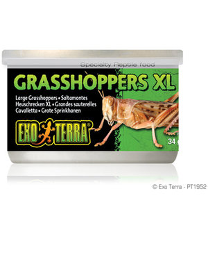 Exo Terra Exo Terra Canned Grasshoppers XL