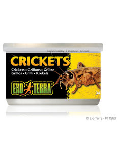 Exo Terra Exo Terra Canned Crickets 1.2 oz