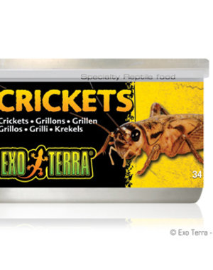 Exo Terra Exo Terra Canned Crickets 1.2 oz
