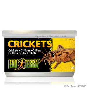 Exo Terra Exo Terra Canned Crickets 1.2 oz