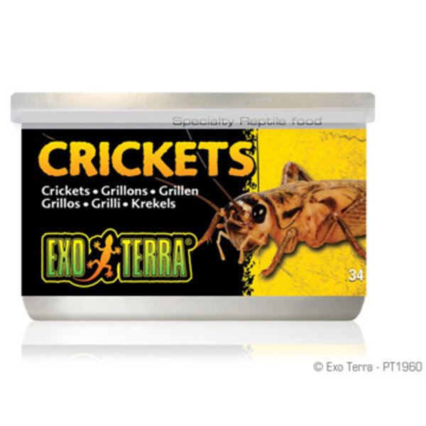 Exo Terra Exo Terra Canned Crickets 1.2 oz