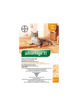 Bayer Bayer Advantage II Small Cat 2.3kg-4kg