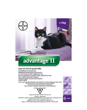 Bayer Bayer Advantage II Large Cat Over 4kg