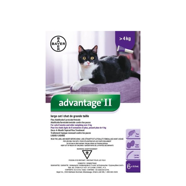 Bayer Bayer Advantage II Large Cat Over 4kg