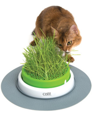 CatIt Cat It Senses 2.0 Grass Planter