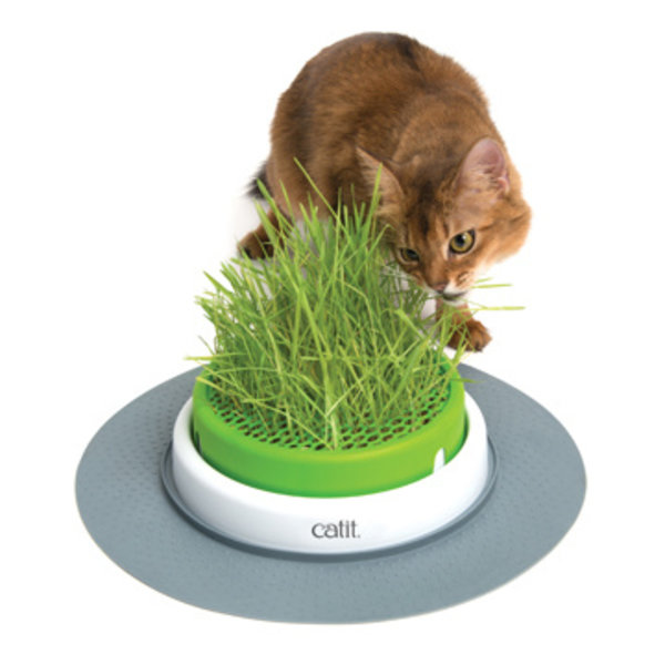 CatIt Cat It Senses 2.0 Grass Planter