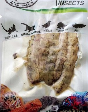 ProBugs ProBugs Eco-Fresh Silkworms Single Package